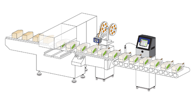 bakery-bread-bagging-line