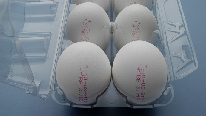 蛋品喷码机喷印文字 蛋品喷码机喷印文字