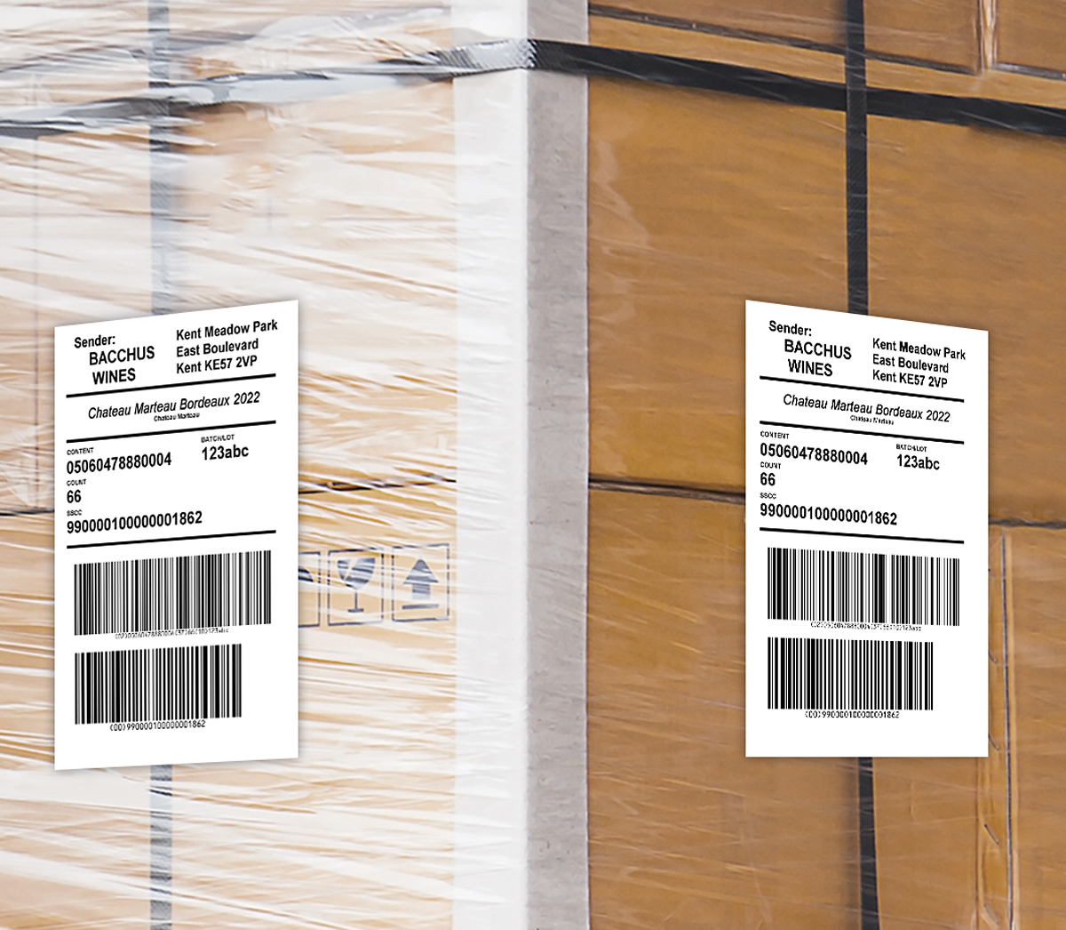 自动打印贴标机在纸箱包装膜上打印贴标